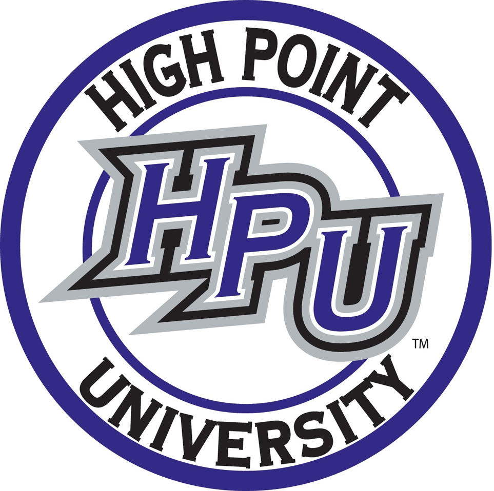 High Point Panthers 2004-Pres Alternate Logo v4 DIY iron on transfer (heat transfer)